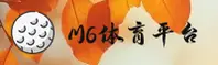 使用指南与常见问题
